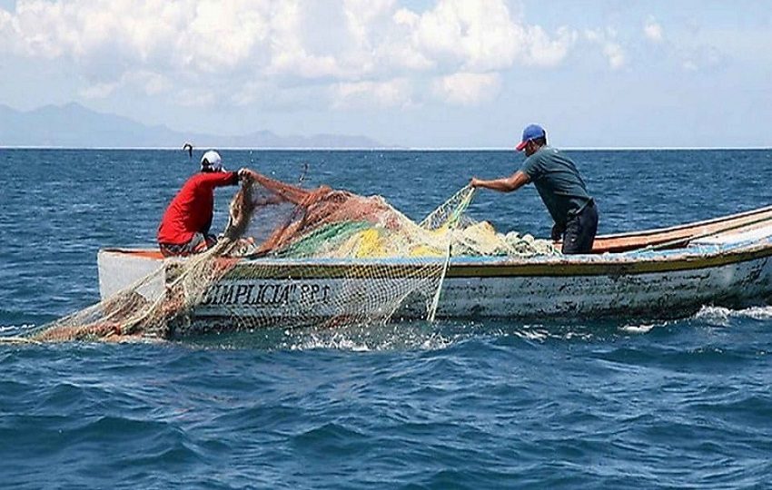Este tipo de prácticas cuestan hasta 50.000 millones de dólares.