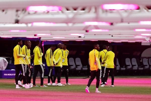 Jugadores de Sudáfrica. Foto: EFE