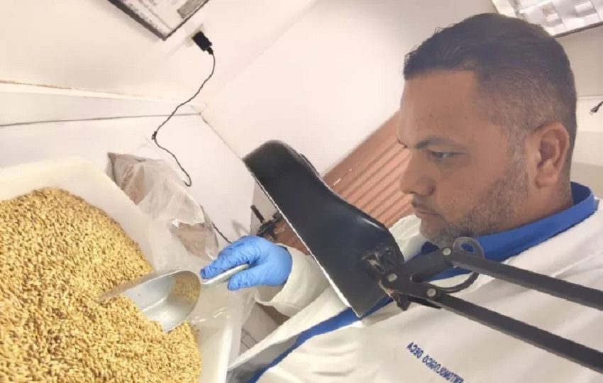 Del total de análisis efectuados, mil 611 corresponden a alimentos importados.