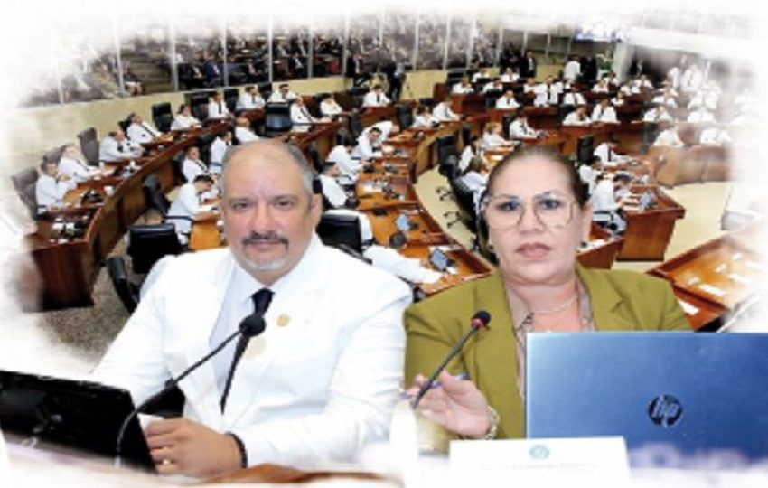 El objetivo de RM es presentar una nómina en consenso para lograr que el 80% de los votos sean a favor de su candidata.  EPASA