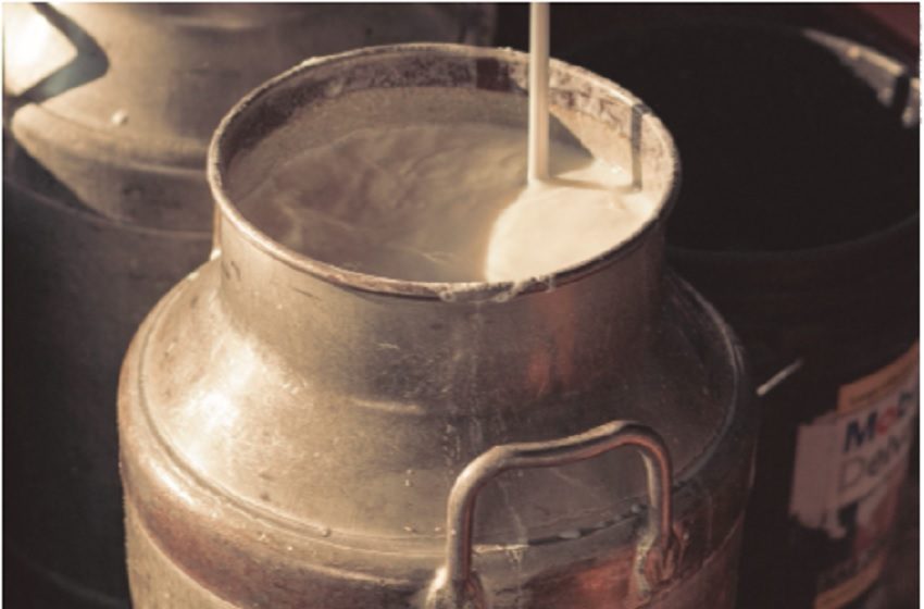 Los productores de leche se han visto afectados en los últimos años y este sería un nuevo golpe. Foto ilustrativa