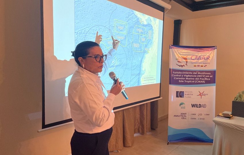 Enfrentar la pesca ilegal es un esfuerzo interinstitucional. Foto: Cortesía