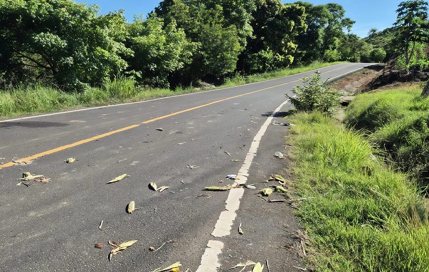 De acuerdo con los informes preliminares de las autoridades, las motocicletas colisionaron de frente en la vía que comunica la comunidad de El Ciruelo con Los Corralillos. Foto. Thays Domínguez