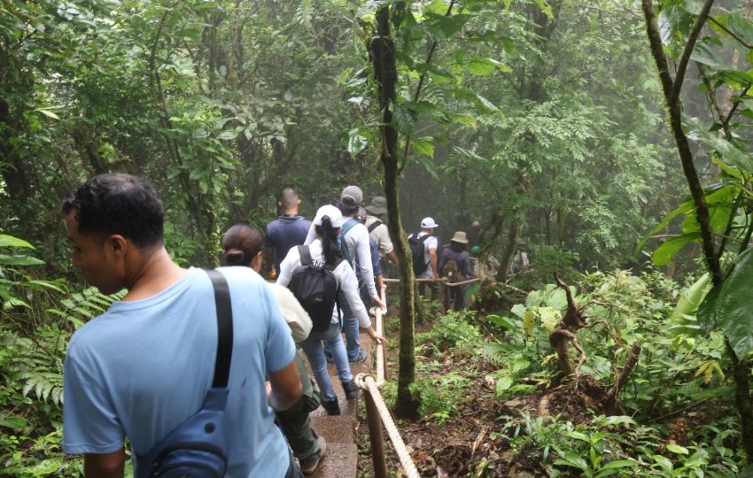 En lo que va del año han recibido cerca 4,000 personas. Foto: MiAmbiente