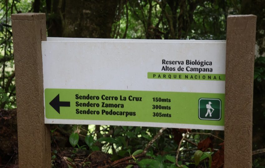 La reserva tiene cuatro senderos. Foto: MiAmbiente