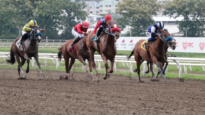 La yegua Wonder Lady busca seguir su buena racha. Foto: Omar Yerar Batista