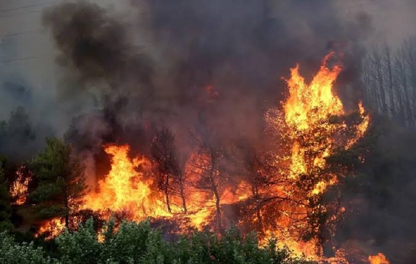 Humo de incendios forestales en Canadá cubrió Nueva York, donde las autoridades emitieron una alerta ad salud por calidad de aire. 