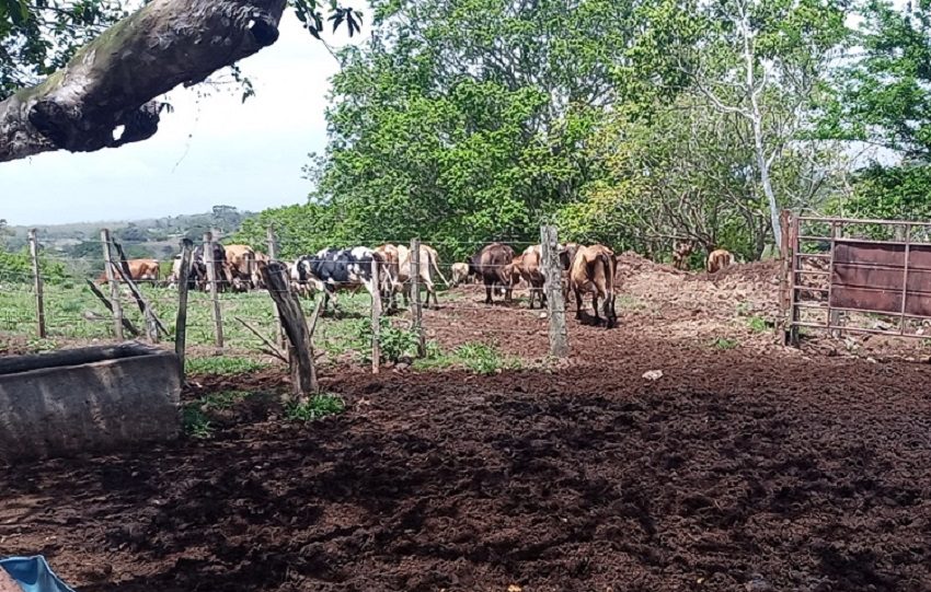 Según el IMHPA para esta región de Panamá Oeste, las lluvias habrán cesado para diciembre de este año.