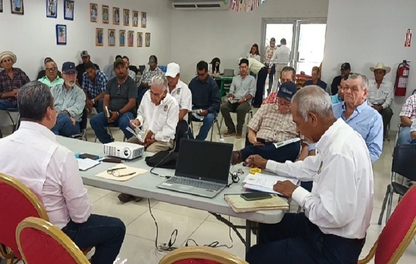 La zona de mayor vulnerabilidad se ubica en la frontera entre Panamá y Costa Rica, donde se registran más de 70 pasos clandestinos empleados para trasladar ganado hurtado. Foto. Melquíades Vásquez