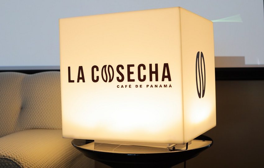 La Cosecha 2026 de café panameño como símbolo de identidad y proyección internacional.