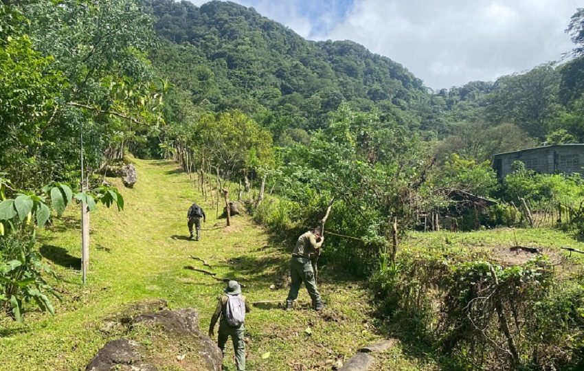 MiAmbiente aplicarán sanciones administrativas de hasta $9,999.99, sin perjuicio de entablar las denuncias correspondientes ante la Fiscalía Ambiental por delitos contra el ambiente y el ordenamiento territorial. Foto. Cortesía
