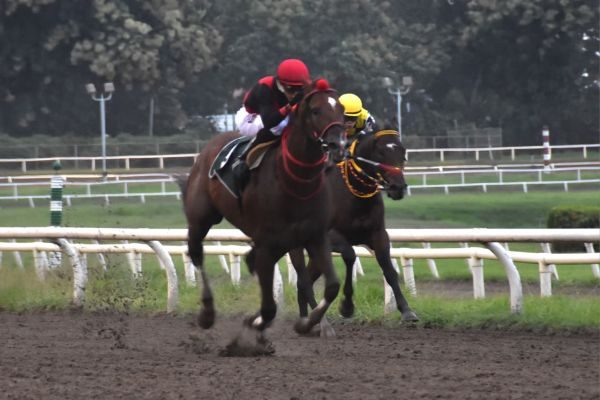 Takao respondió al favoritismo y devolvió B/.3.00 a la primera posición. Foto: Fotos Boris Valdivieso.