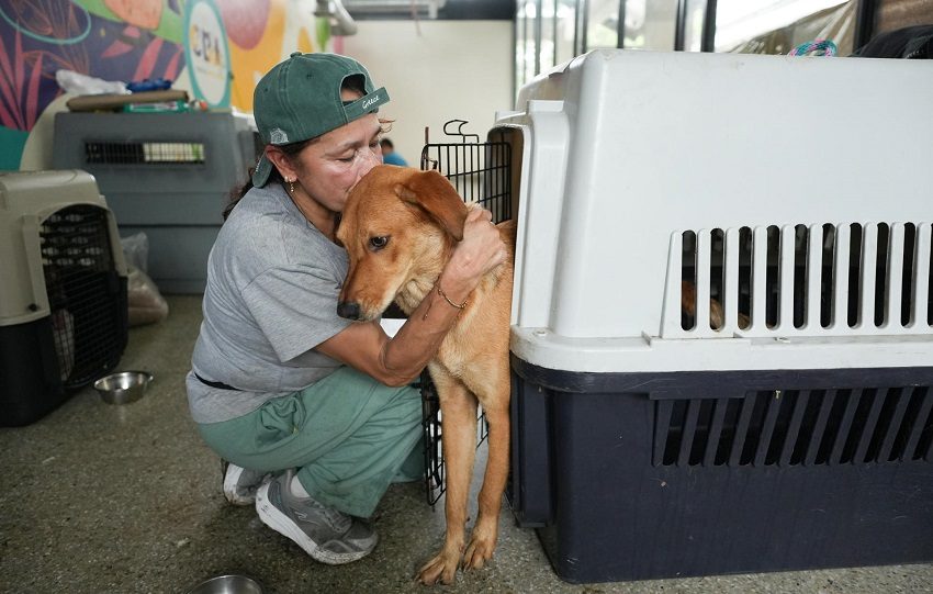 Una mujer abraza a un perro en el Centro de Bienestar Animal. Foto EFE