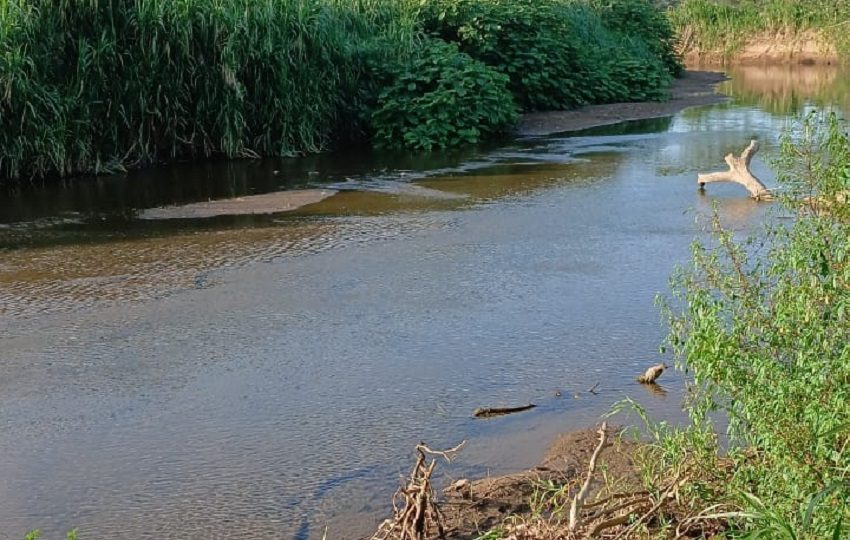A través de una carta abierta, ambas organizaciones expresaron su temor de que se repita la crisis sanitaria registrada en 2014 por la contaminación con atrazina en el río La Villa.