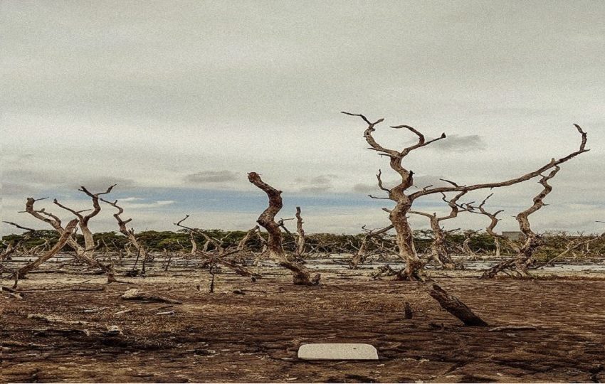 El fenómeno de El Niño se intensificará en los próximos meses, elevando el riesgo de sequías, inundaciones y olas de calor en distintas regiones del mundo.