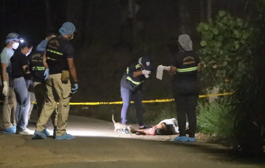 La presencia policial disminuye la actividad delictiva, no la frena. 