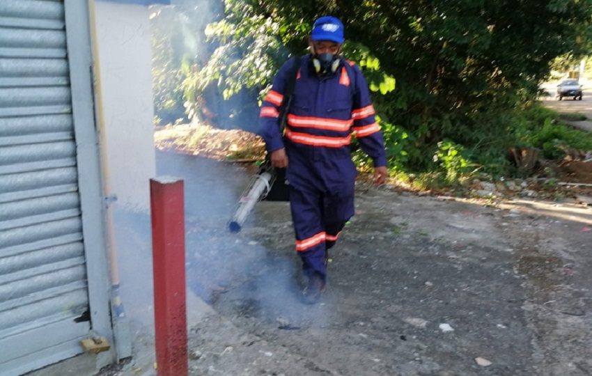 Del total de casos registrados, 6,576 corresponden a dengue sin signos de alarma, 946 presentan estos signos y 43 se clasifican como dengue grave. Foto. Eric  Montenegro