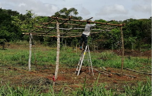 Unas 200 familias ya han improvisado viviendas en los terrenos. Foto: Eric A. Montenegro.