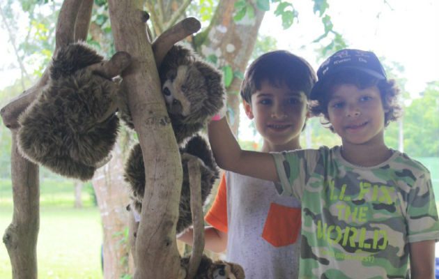 Las familias podrán conocer más acerca de este animal. /Foto Cortesía