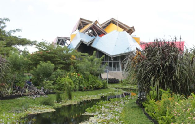 Nueva experiencia. Foto: Cortesía. 