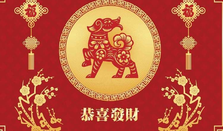 El 2018 fue el año del Perro Tierra. 