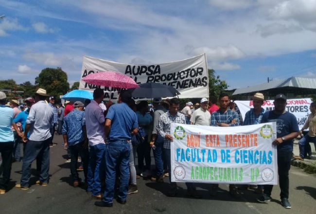 Los productores dicen que Juan Carlos Varela está faltando a la verdad. /Foto Archivo