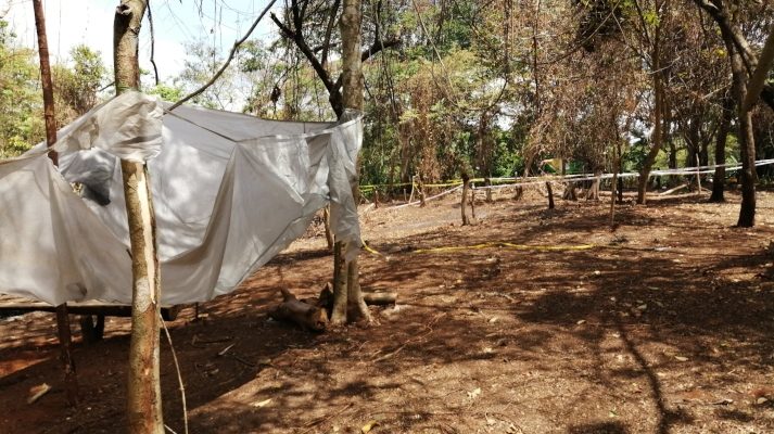 Hay quienes tienen sus terrenos separados con sogas. Foto/Eric Montenegro