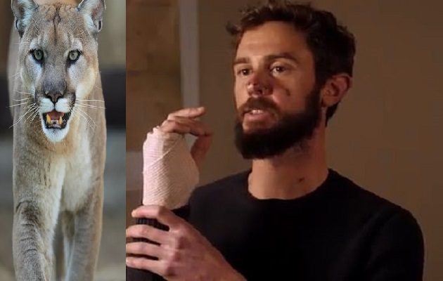 Kauffman lamentó tener que matar al animal.