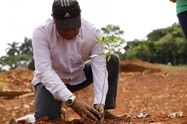 Constantemente se realizan jornadas de reforestación. Foto de cortesía