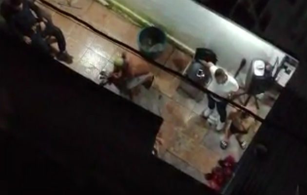 Residentes de un edificio en Perejil denunciaron la práctica de rituales donde se sacrificaron varios animales. Foto: Cortesía.