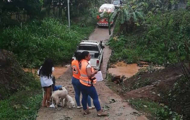 Granizada, caída de árboles y voladura de techos en Panamá Oeste. Foto: Tráfico C. Panamá.