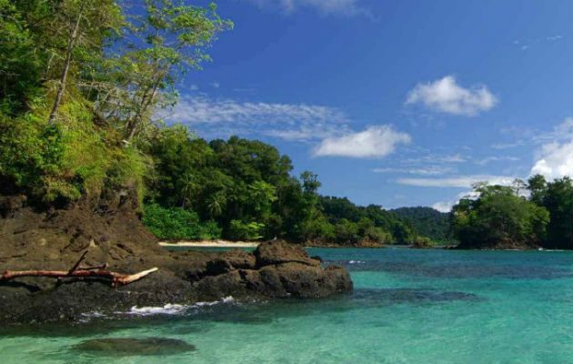 Bucear en isla Coiba te permitirá ver peces de diferentes tamaños, sin tener que gastar mucho dinero. Fotos: ATP