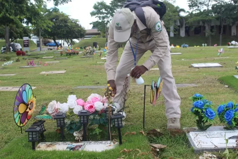 Inspeccionan cementerios en San Miguelito para evitar el dengue