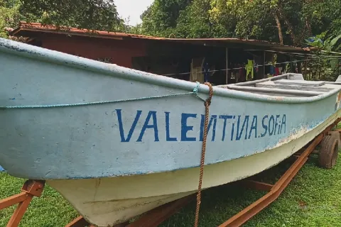 Cae sospechoso con $10 mil en motores fuera de borda hurtados en Mariato
