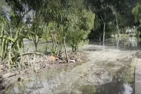Residentes de Isla Cañas rechazan traslado hacia tierra firme
