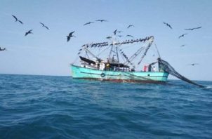 Política cero tolerancia contra la pesca ilegal.