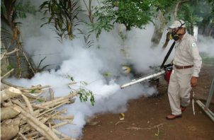 Las nebulizaciones solo eliminan el mosquito adulto.