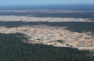 Fotografía aérea que muestra la Amazonía peruana. Foto: EFE