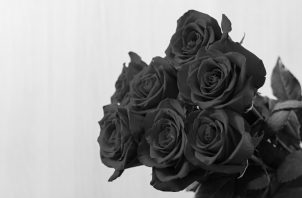 Escogí uno nada común, doce rosas reposando un papel negro mate con unos chocolates y un lazo, un ramo de rosas perfectamente armado. Foto: Freepik.