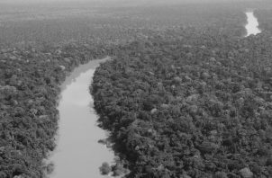 Río Algodón, que fluye a través de un bosque de la cuenca del Amazonas en el remoto rincón noreste de Perú. Foto: EFE.