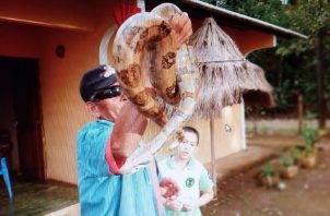 Coclé ha superado en casos de mordeduras de serpientes a Veraguas. Foto: Melquiades Vásquez 