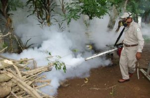 La nebulización no mata los huevecillos del mosquito. Foto: Minsa
