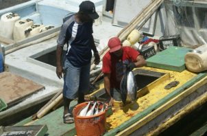 El sector pesquero recibirá un aumento del 1.5%. Foto: Grupo Epasa