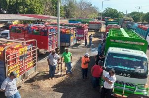 Los camiones cargados de fruta están varados en las afueras de la compañía comercializadora. Foto: Thays Domínguez