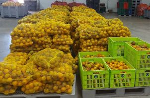 En esta semana se decomisaron pixbae y naranjas que no tenían registros. Foto: Cortesía Aduanas