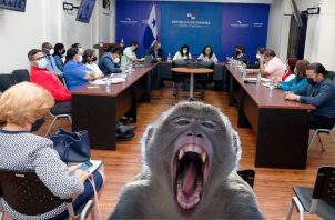 En Panamá no se ha confirmado ningún caso de la viruela del mono. Foto: Minsa/Cortesía