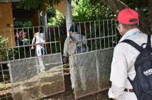 En el distrito de Barú, van 21 casos de dengue clásico, de los 71 que registra Chiriquí. Foto: José Vásquez