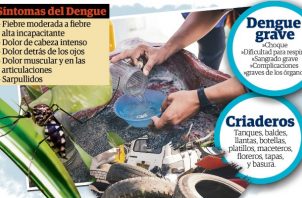 Panamá acumula más de 3,831 casos de dengue a nivel nacional. Foto: Epasa