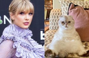 Taylor Swift y su gata fold escocés, Olivia Benson. Fotos: Archivo / @taylorswift