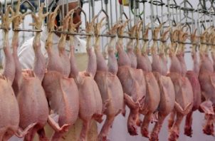 Las proyecciones internacionales indican que el consumo de pollo podría aumentar a nivel mundial.